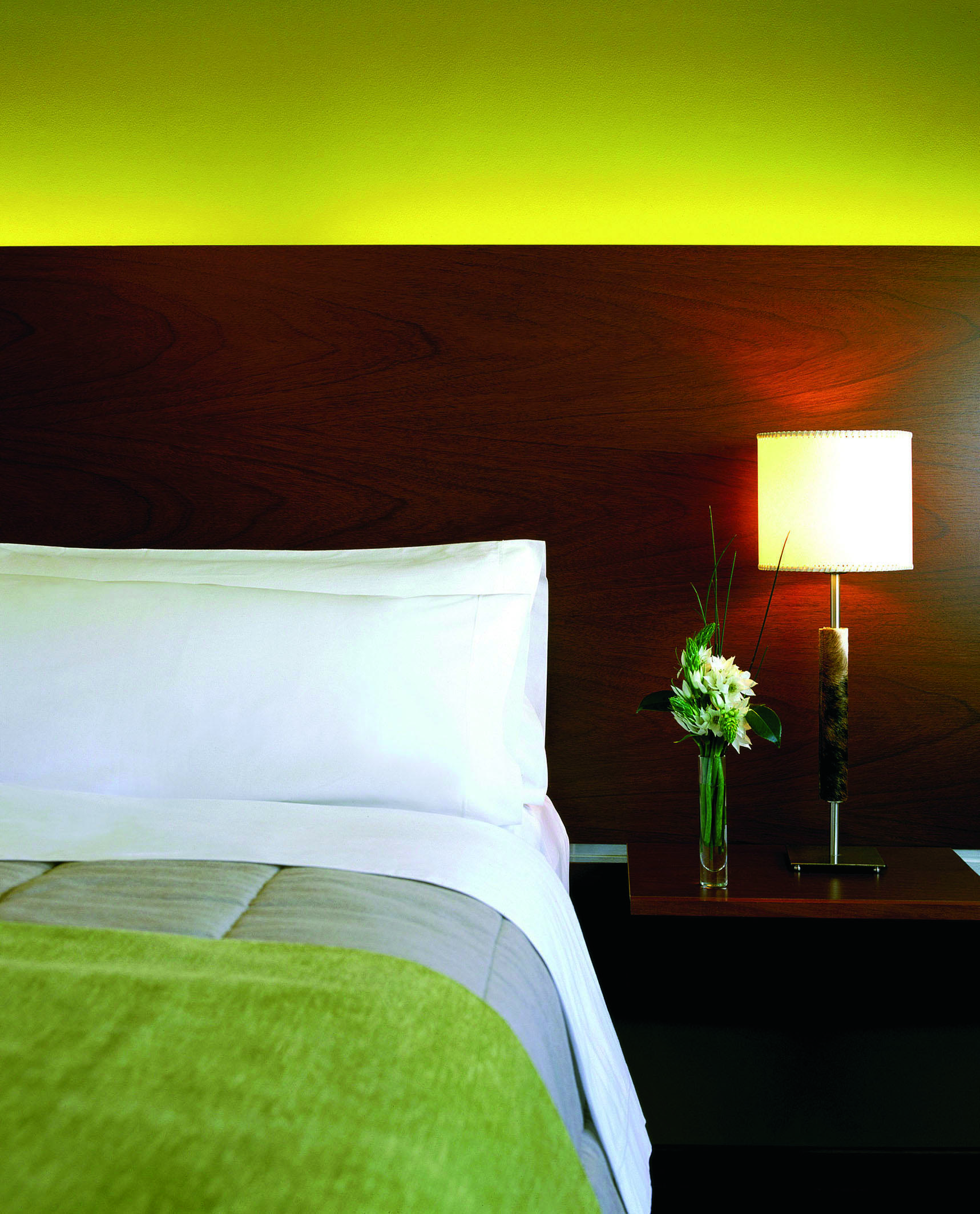 Rochester Concept Buenos Aires